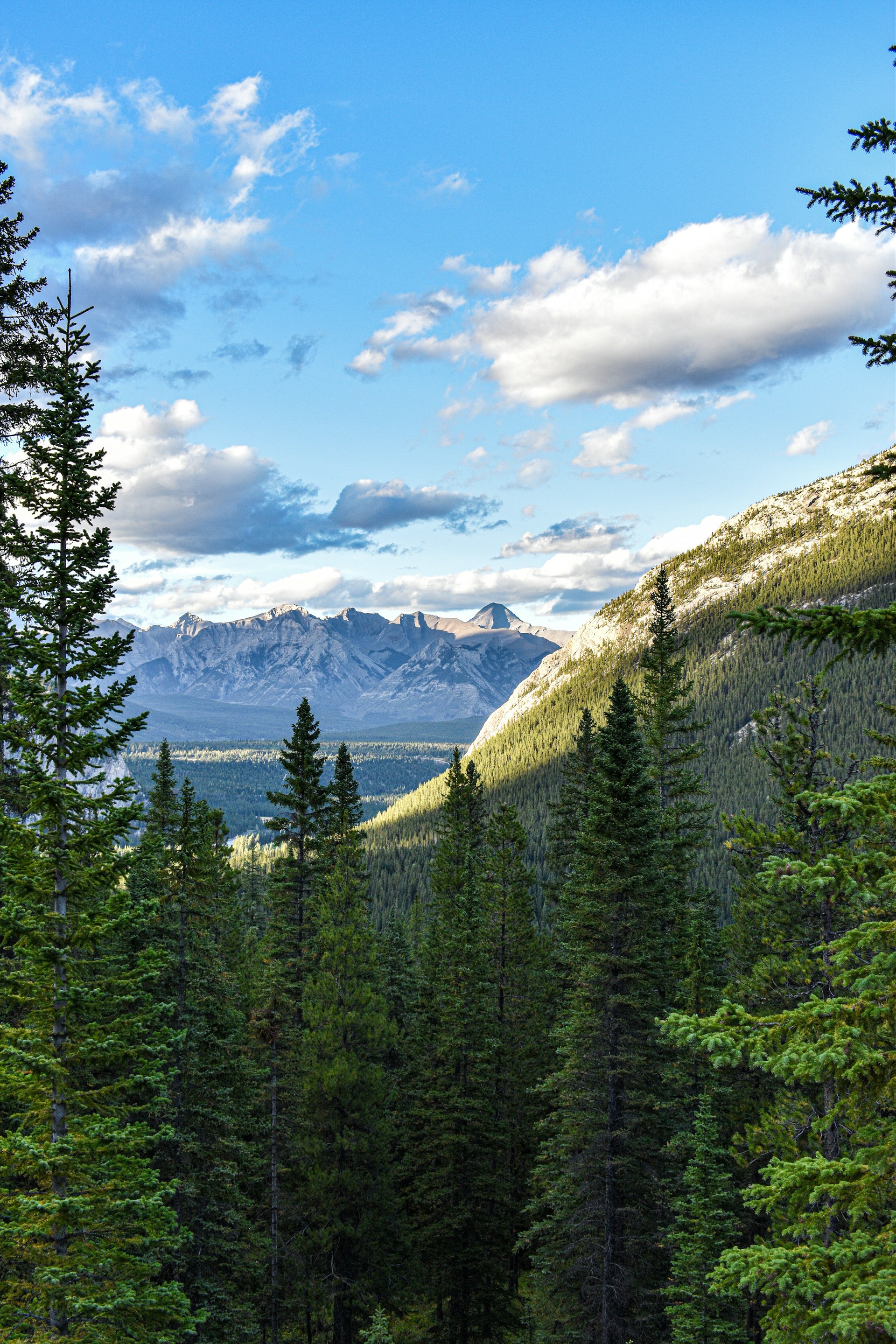 Sulphur Mountain summit