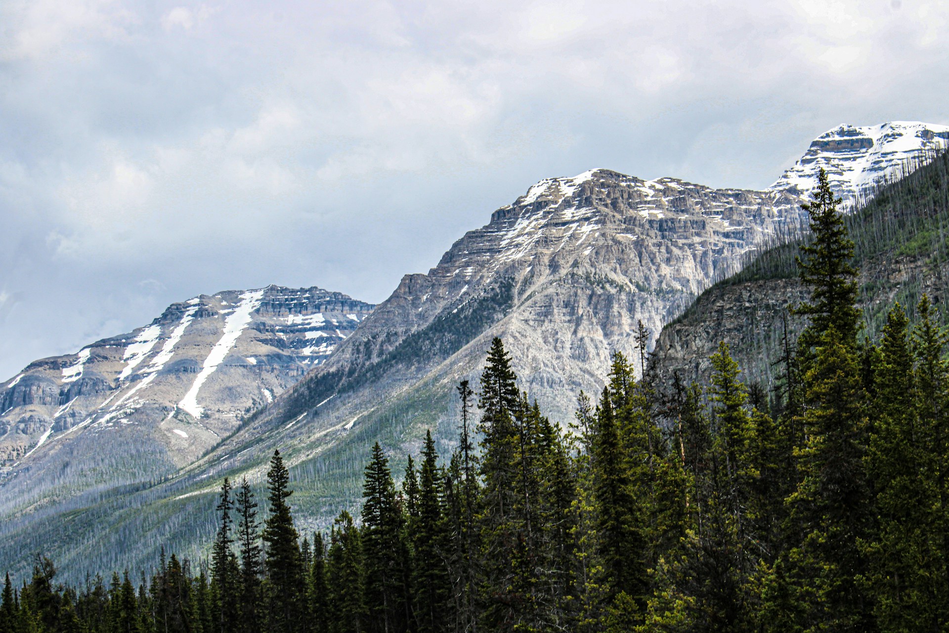 Sanson Peak boardwalk