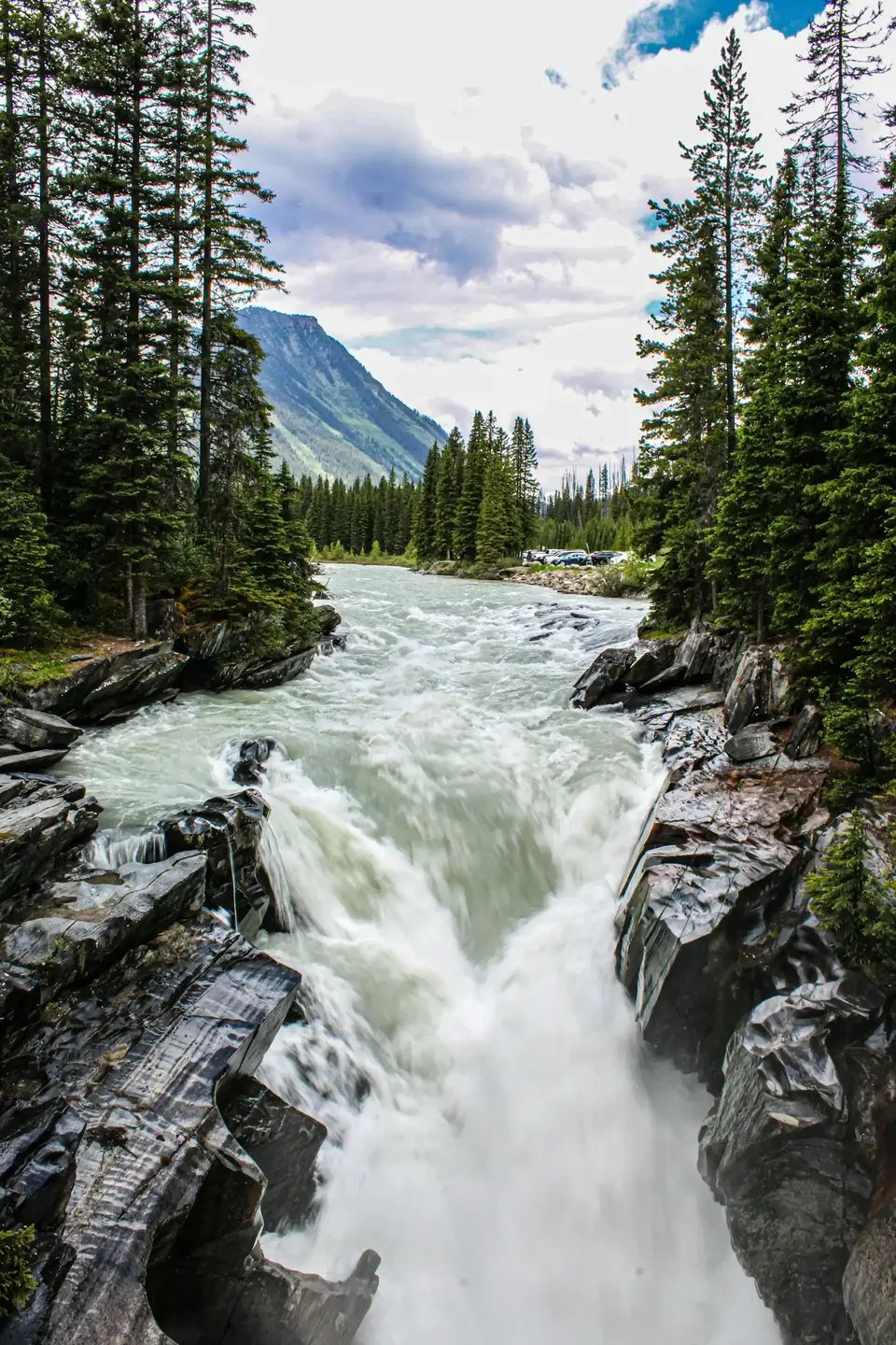 Athabasca Falls View