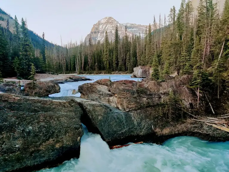 Yoho Kicking Horse River